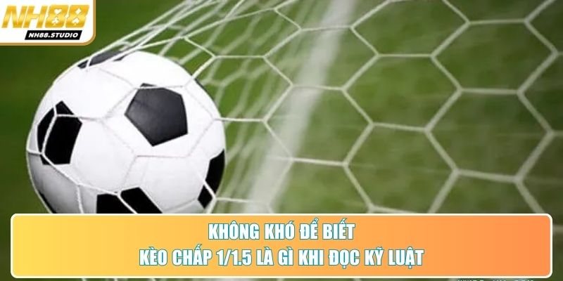 Không khó để biết kèo chấp 1/1.5 là gì khi đọc kỹ luật Không khó để biết kèo chấp 1/1.5 là gì khi đọc kỹ luật