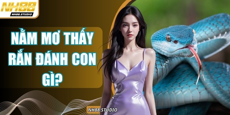 Nằm Mơ Thấy Rắn Đánh Con Gì? Bộ Số Chuẩn Cho Từng Giấc Mơ Nằm Mơ Thấy Rắn Đánh Con Gì? Bộ Số Chuẩn Cho Từng Giấc Mơ
